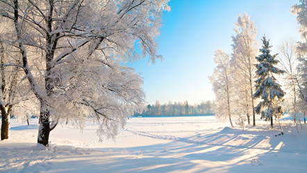 Similar image 7949434