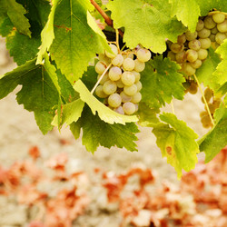 Similar image 7949451