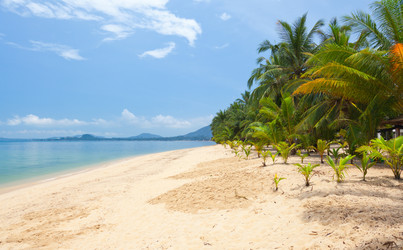 Similar image 7949537