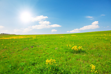 Similar image 7949556