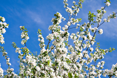 Similar image 7949573