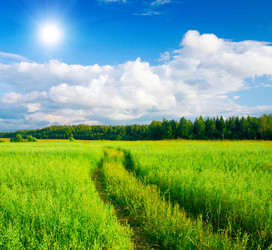 Similar image 7949576