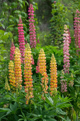 Similar image 7949626