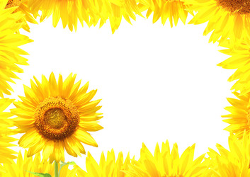 Similar image 7949715