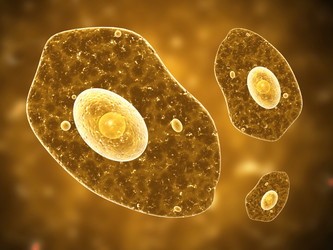 Similar image 7949719