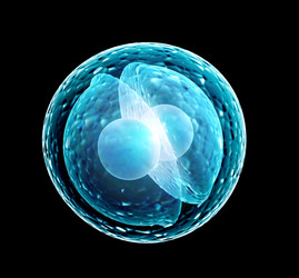 Similar image 7949720