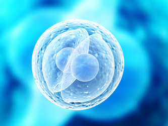 Similar image 7949722