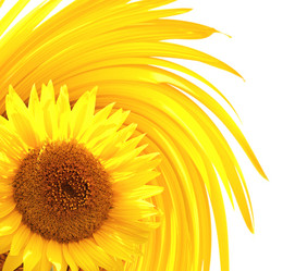 Similar image 7949737