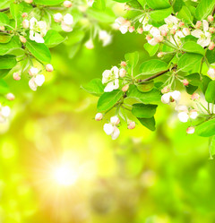 Similar image 7949738