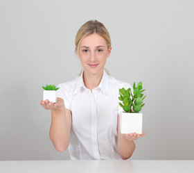 Similar image 7949854