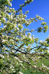 Similar image 7949873