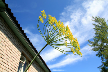 Similar image 7949994