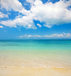 Similar image 7950027