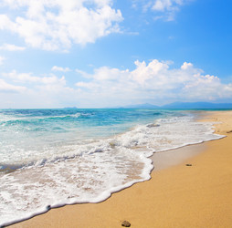 Similar image 7950035