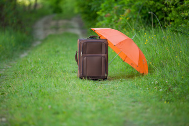 Similar image 7950638