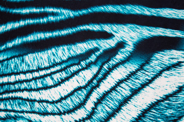 Similar image 7950641