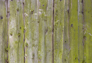 Similar image 7950644