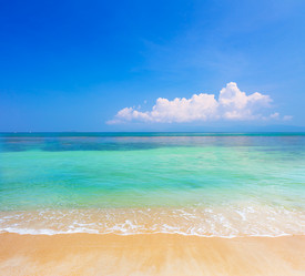 Similar image 7950770