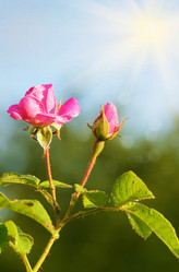 Similar image 7950823