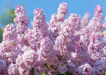 Similar image 7950877