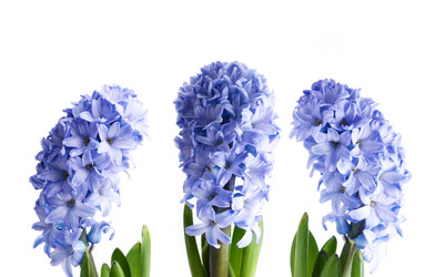 Similar image 7950966