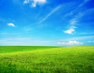 Similar image 7951004