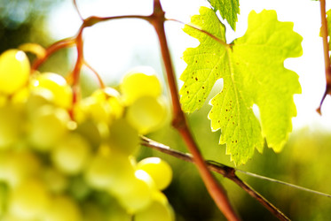 Similar image 7951018