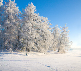 Similar image 7951055