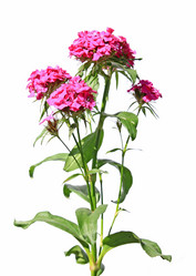 Similar image 7951061