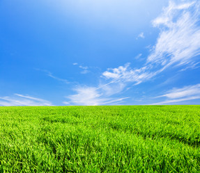 Similar image 7951099