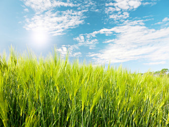 Similar image 7951161