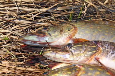 Similar image 7951183