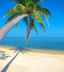 Similar image 7951212