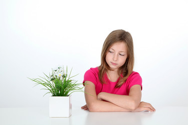 Similar image 7951418