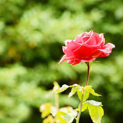 Similar image 7951459