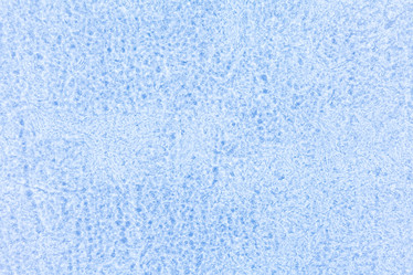 Similar image 7951488