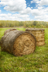 Similar image 7951495