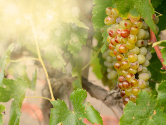 Similar image 7951519