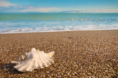 Similar image 7951534