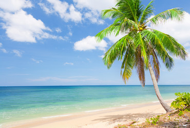 Similar image 7951566