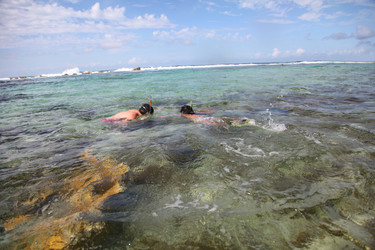 Similar image 7951625