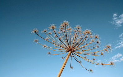 Similar image 7951632