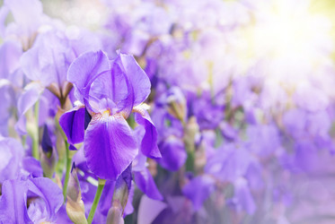 Similar image 7951692