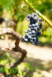 Similar image 7951707