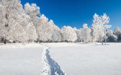 Similar image 7951709