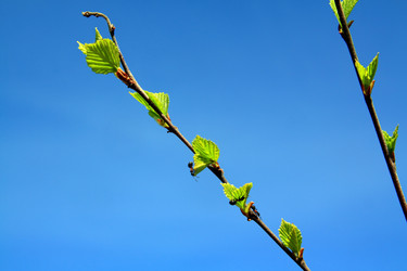 Similar image 7951754