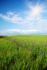 Similar image 7951854