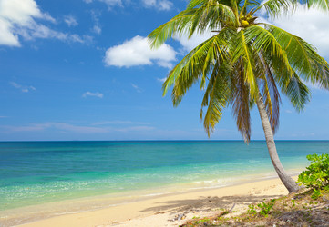 Similar image 7951861