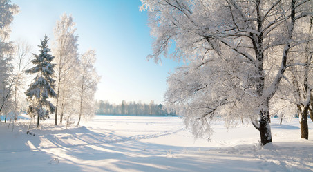 Similar image 7951875