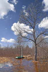 Similar image 7951909